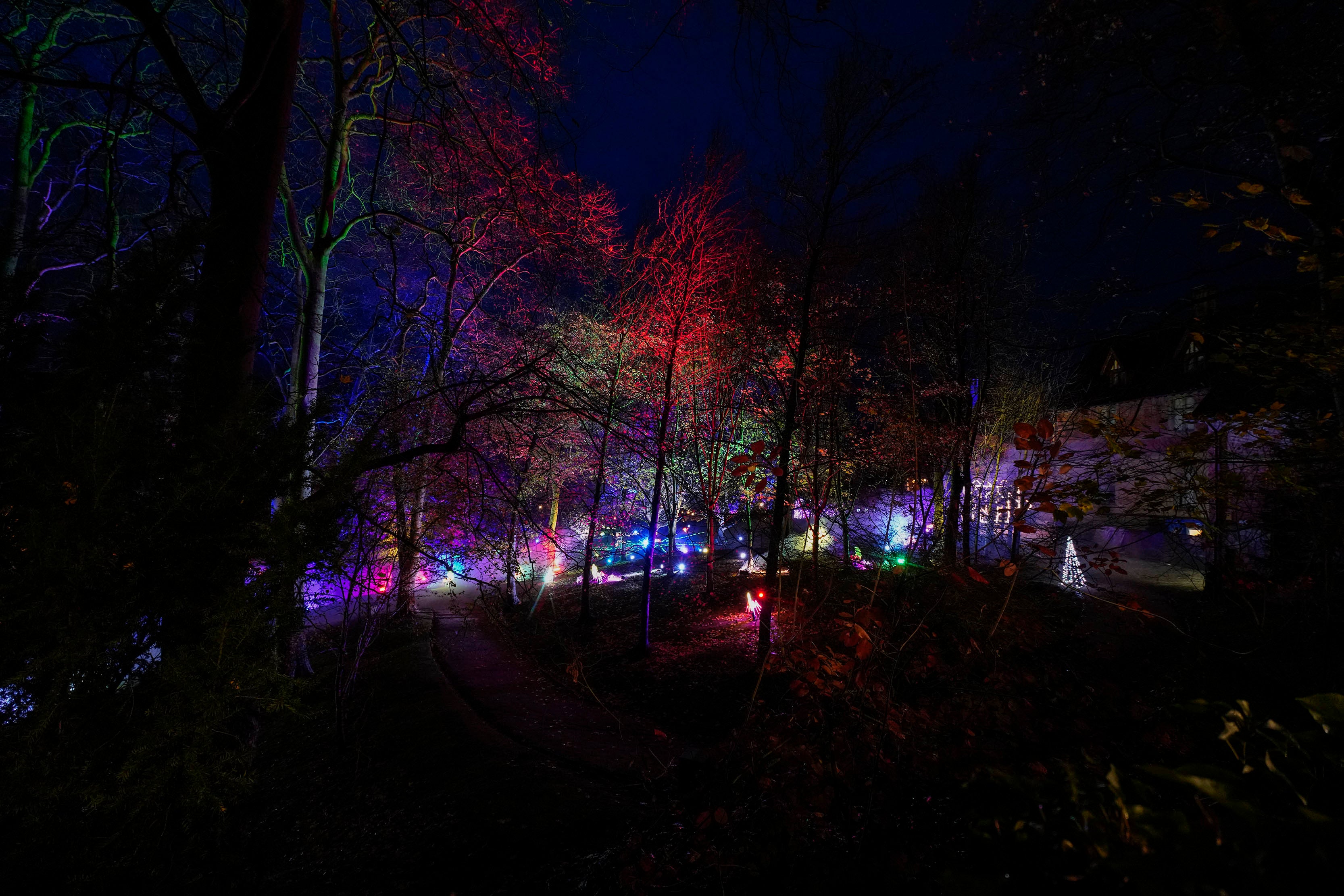 Miramar Magikoaren irekiera ekitaldia