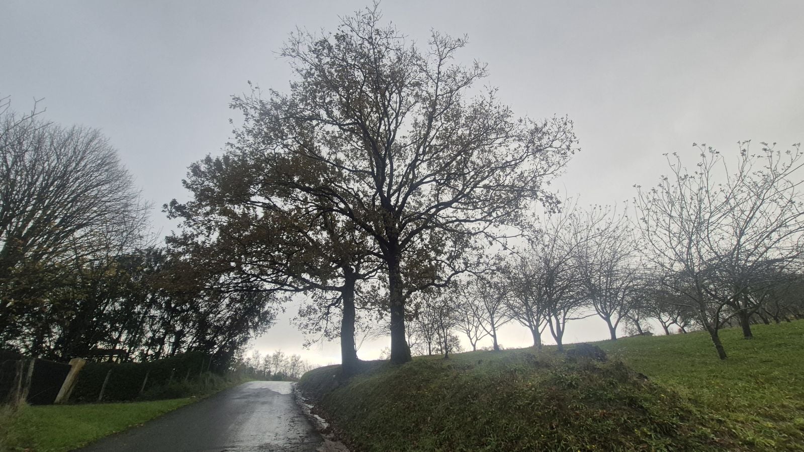 Oindi, un rincón mágico a la sombra del Adarra