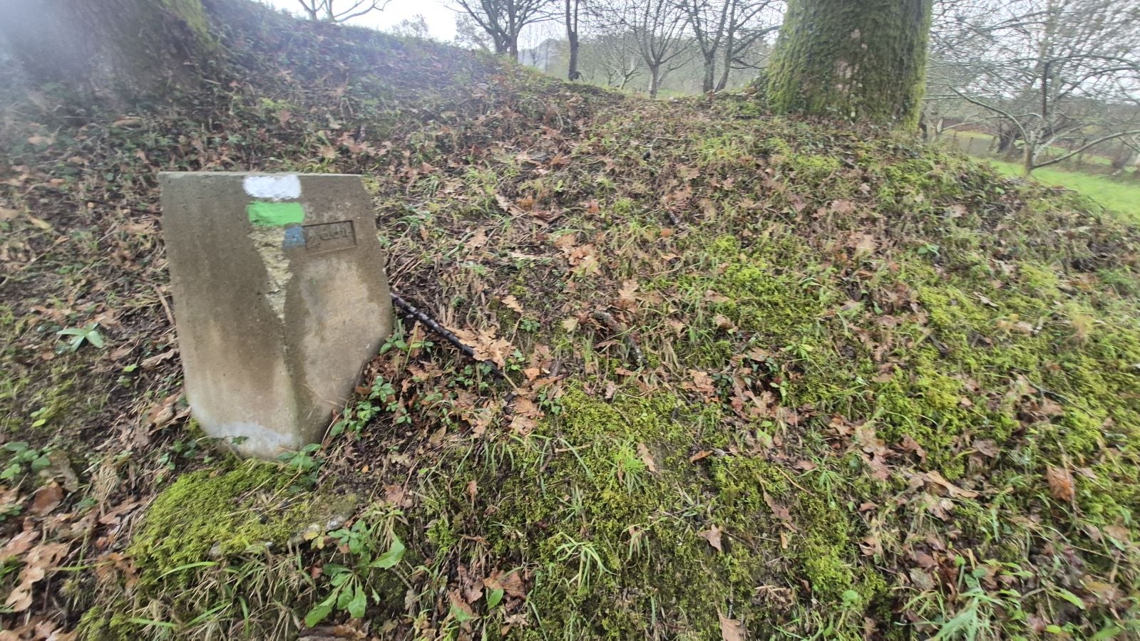 Oindi, un rincón mágico a la sombra del Adarra
