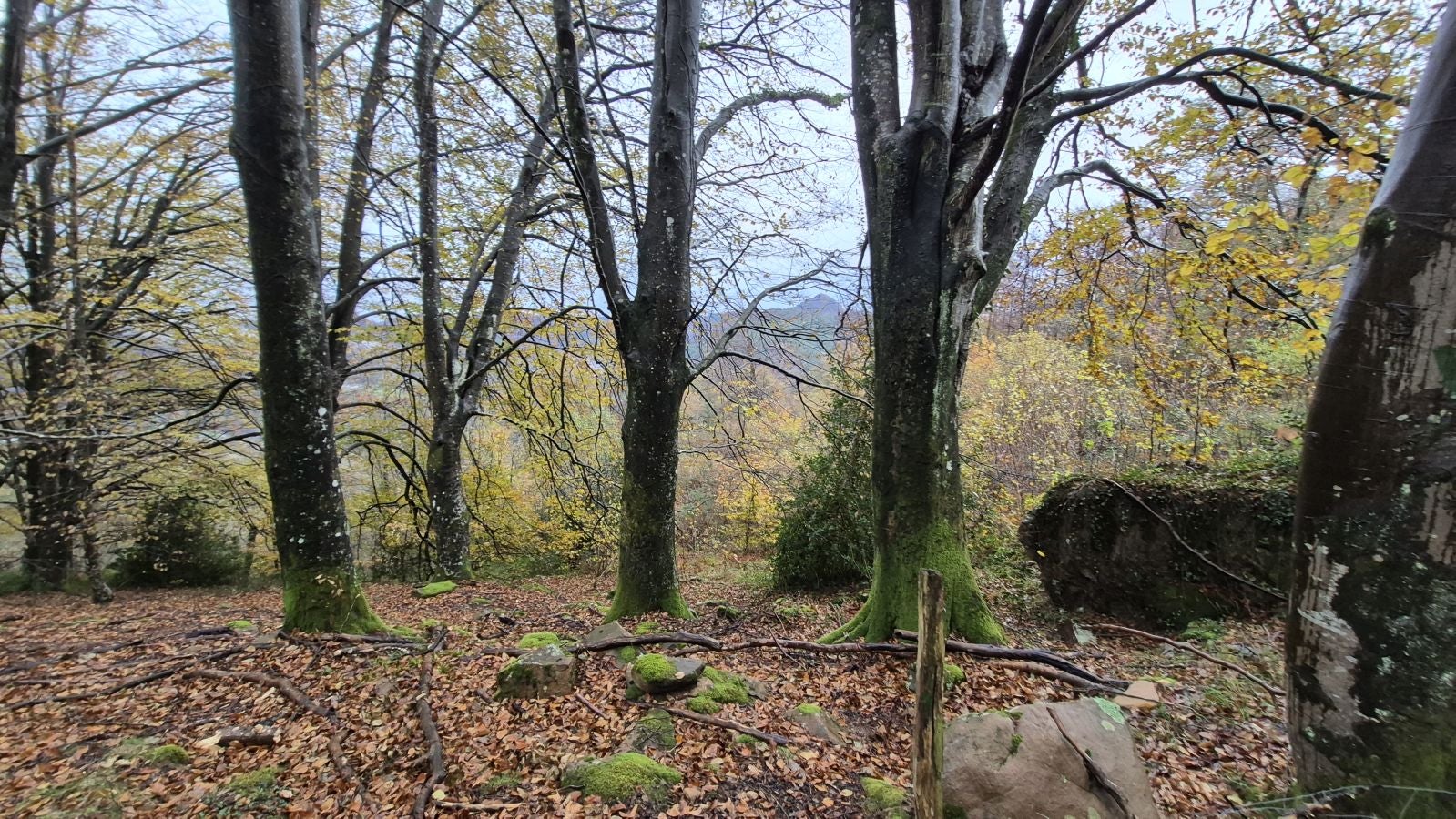 Oindi, un rincón mágico a la sombra del Adarra