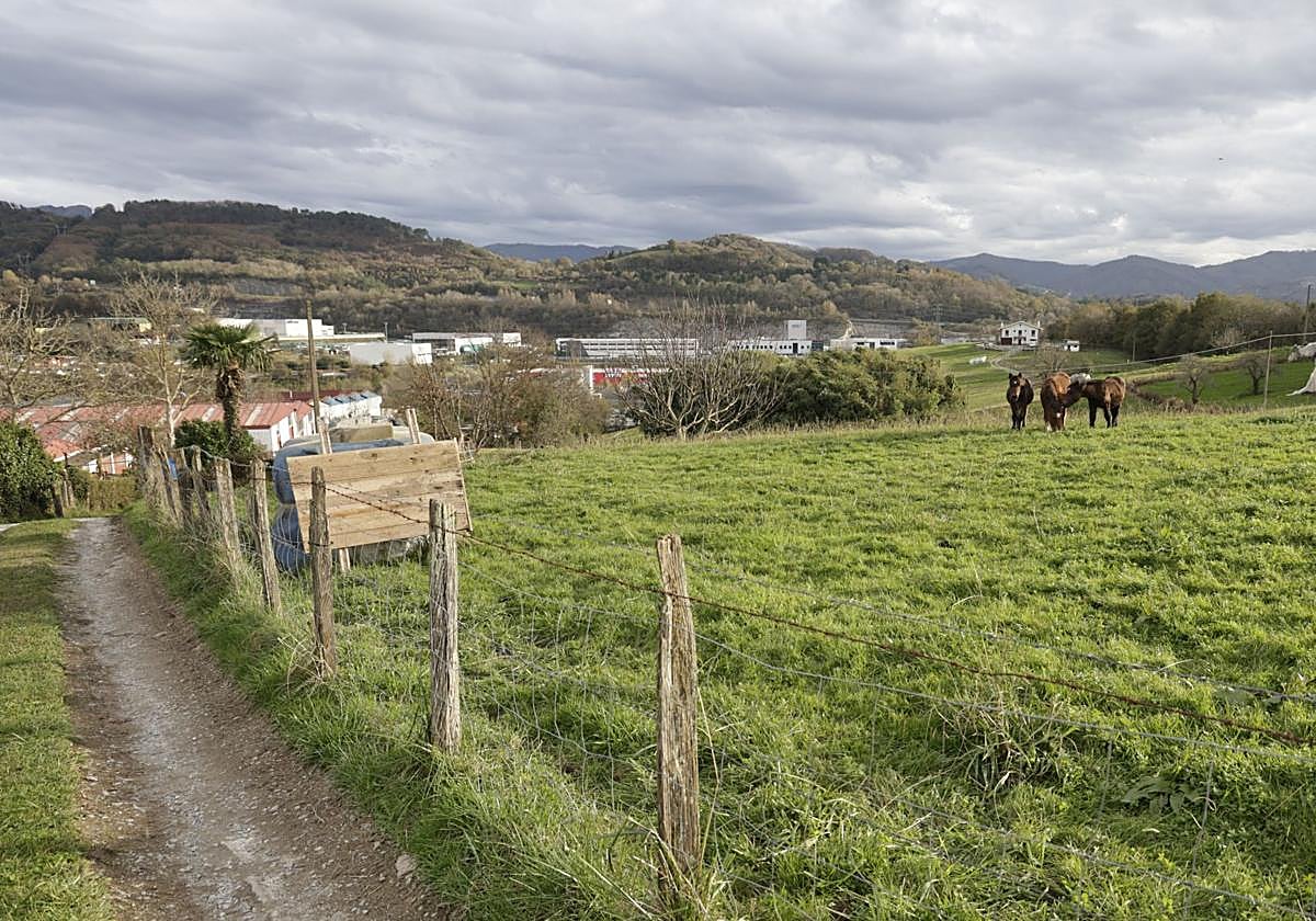 Terrenos entre el polígono Ipintza de Lezo, la rotonda del alto de Gaintxurizketa y el polígono Lanbarren, donde se planea el puerto seco.