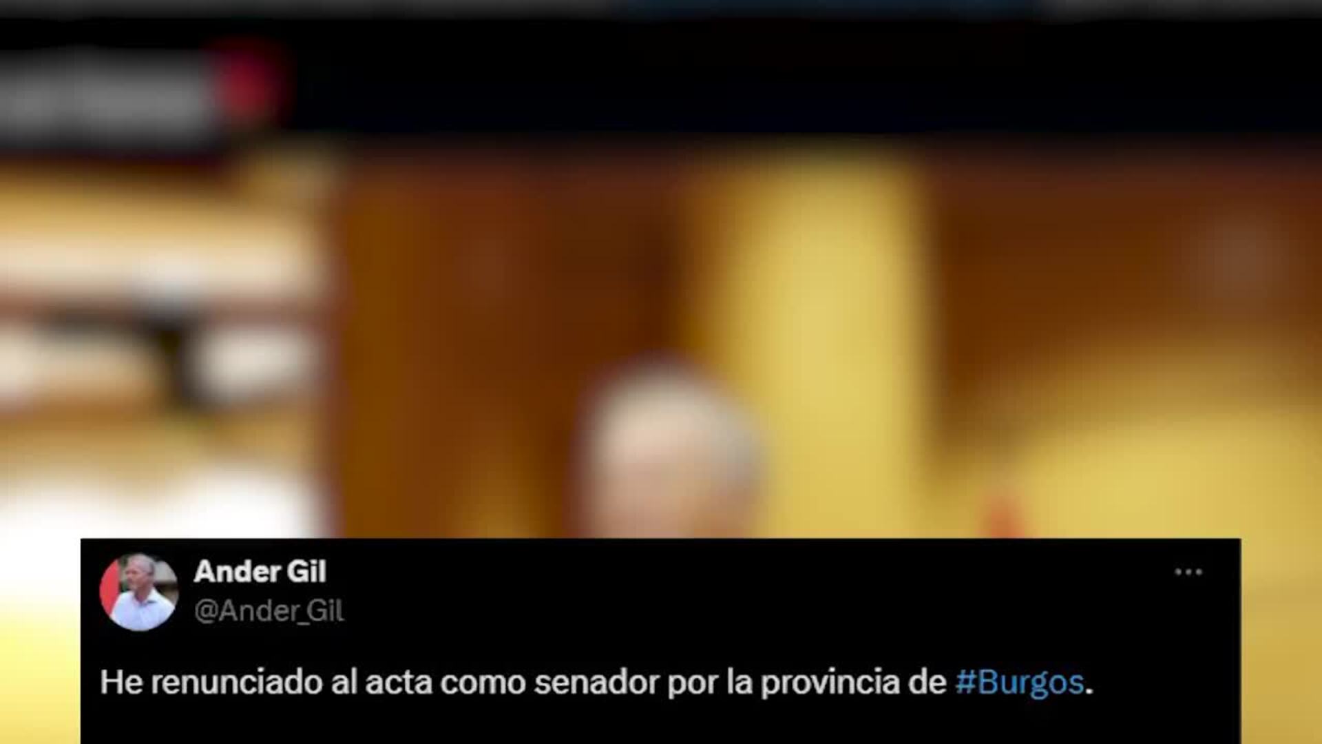 El expresidente del Senado, Ander Gil, deja la política
