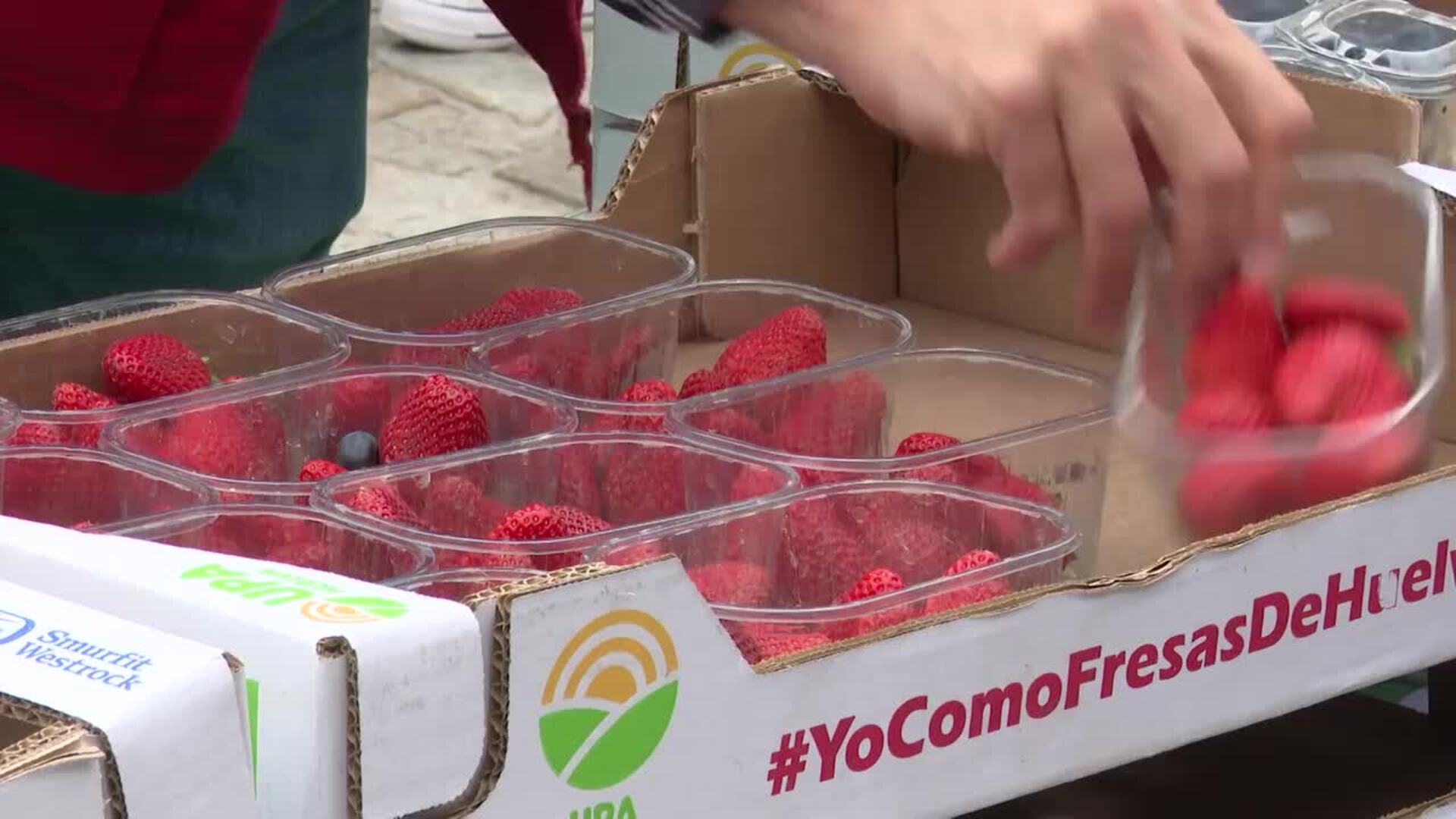 La fresa de Huelva se reparte para llamar al consumidor a que "mire algo más que el precio"