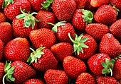 Francia ordena la retirada de fresas procedentes de España por superar el límite legal de pesticidas