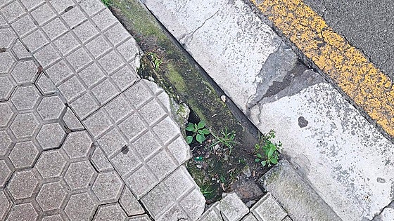 Azkuene olvidada. El Ayuntamiento de Donostia, no responde