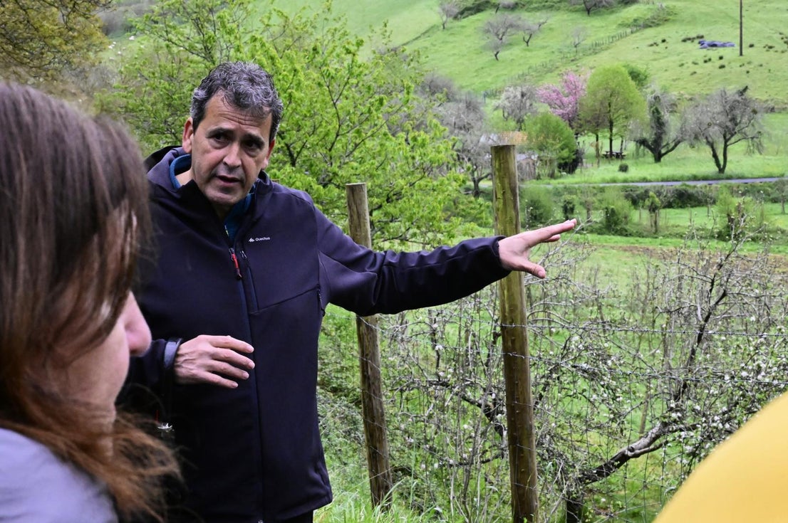Los manzanos florecen en Errezil