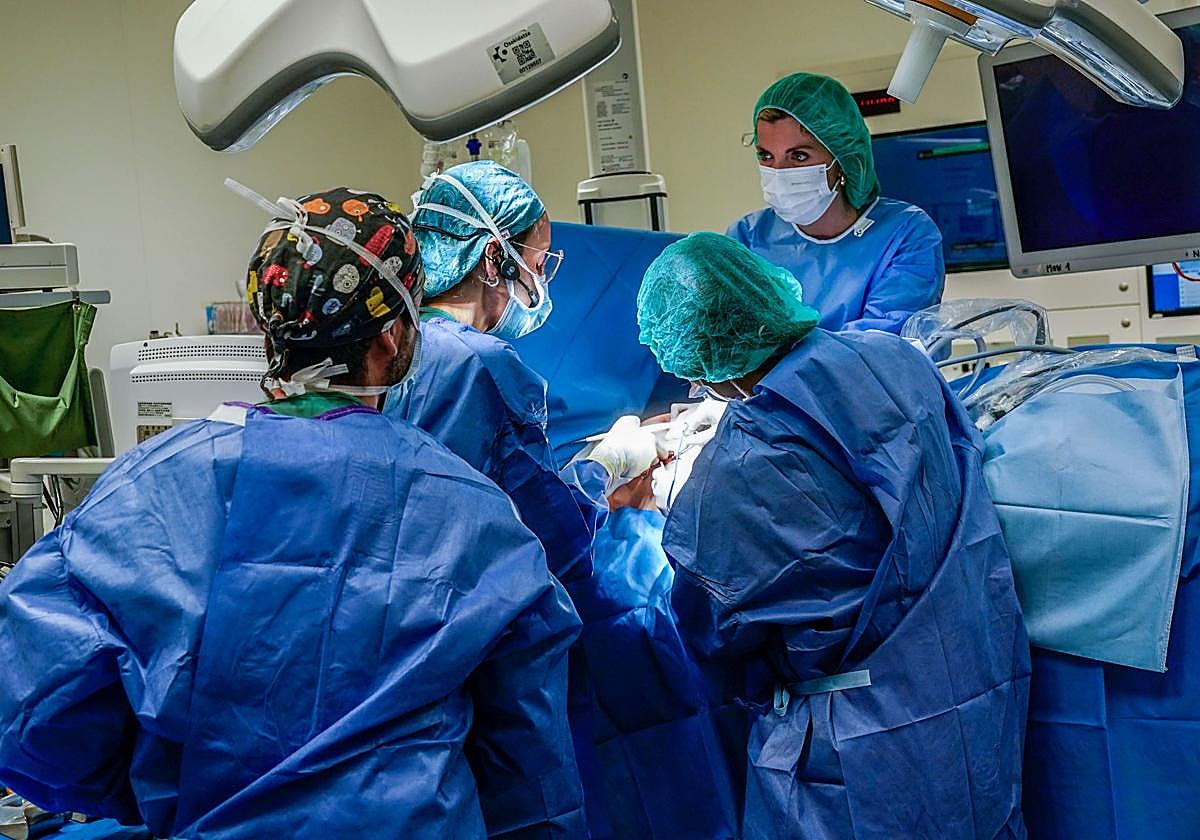 Osakidetza derivará a clínicas privadas a los 1.794 pacientes que esperan más de 180 días por una operación — image 5
