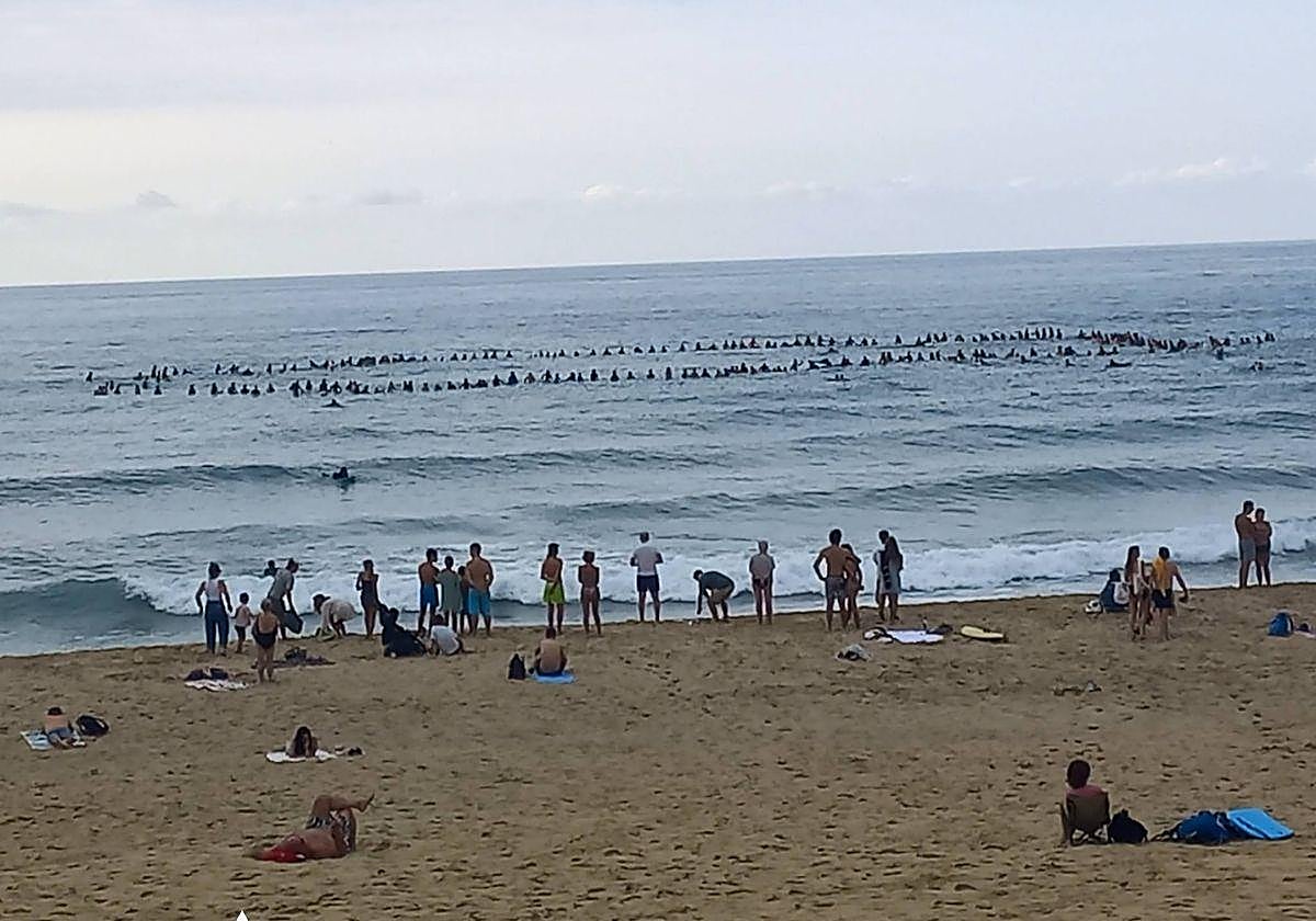 Multitudinario adiós al surfista Asier Arretxea en la playa de Zurriola: «Eres de las mejores personas que he conocido en mi vida»