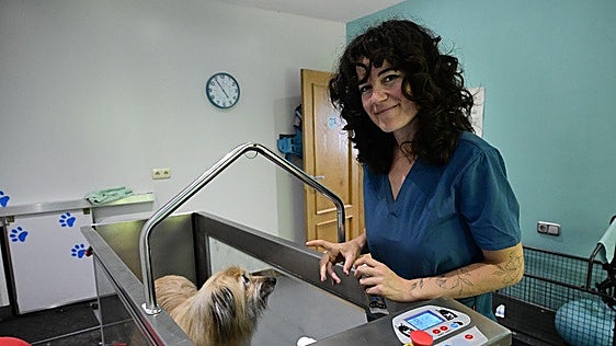 «Las mascotas, igual que los humanos, también necesitan fisios»