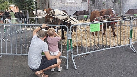 Hernani se llenará de ambiente festivo el fin de semana por las Euskal Jaiak