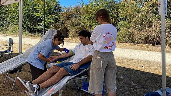 Osakidetza realizó 170 transplantes de médula ósea el último año
