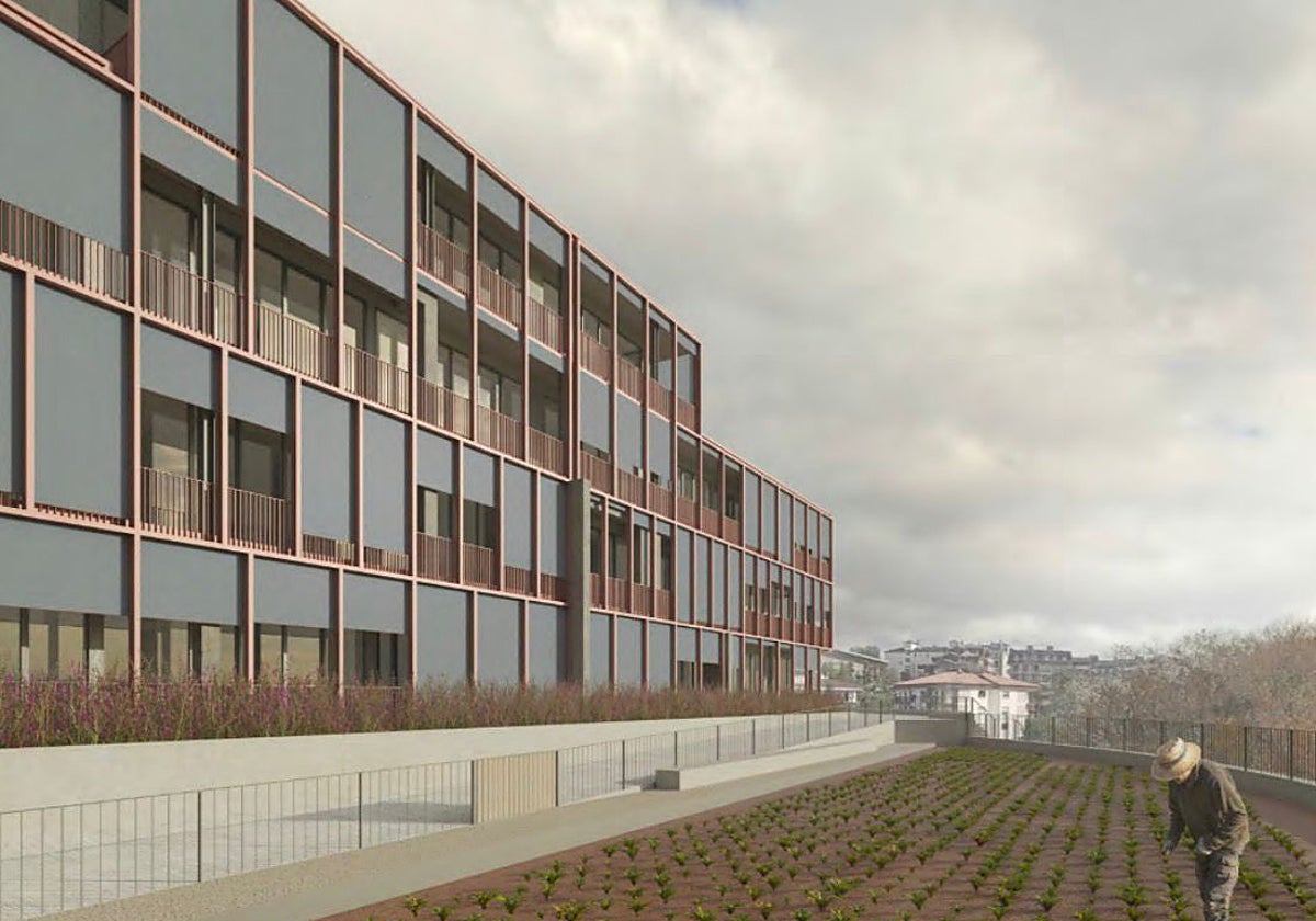 De edificio público degradado a 42 apartamentos con huerto comunitario: la reconversión de la antigua Aemet de San Sebastián