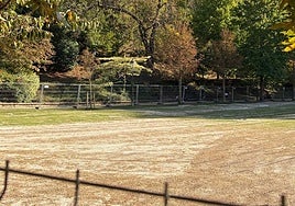 La campa del parque Cristina Enea