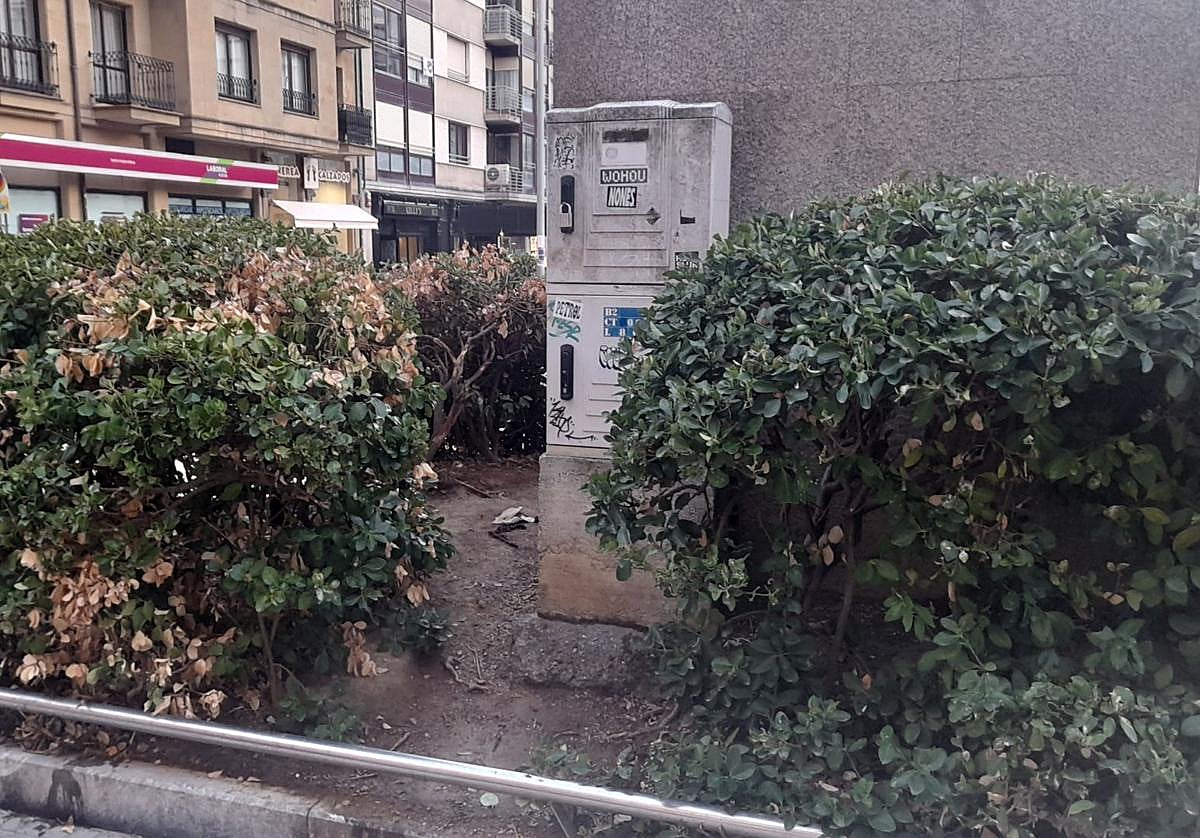 Denuncian el retrete oculto en la plaza Nafarroa: «Nadie limpia y estamos hartos»