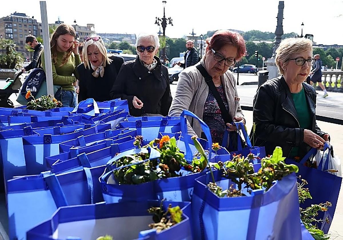 El Ayuntamiento repartirá 40.000 flores gratis en nueve puntos de la ciudad