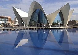 Oceanográfico de la Ciudad de las Artes de Valencia. / Archivo