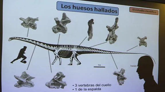Hallan en Argentina el dinosaurio más grande del mundo