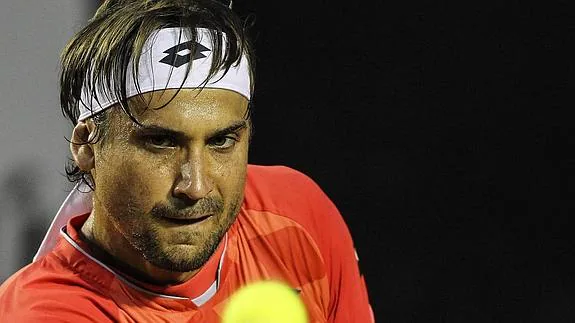 David Ferrer. 