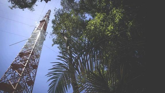 La torre ATTO tiene 325 metros de altura.