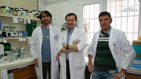 Grupo de investigadores de la Universidad de Sevilla.