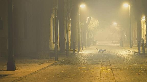 Calle con niebla. 