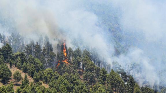El fuego ha arrasado ya más de 4.500 hectáreas.