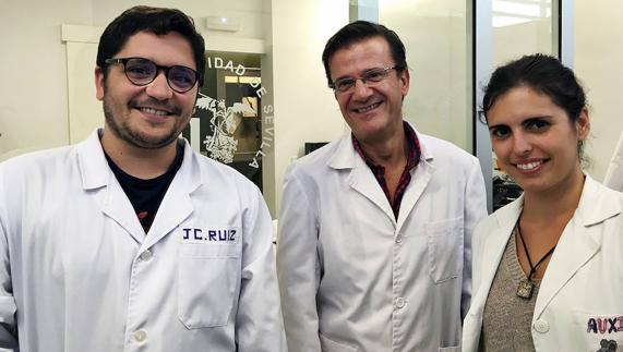 En la imagen, los investigadores participantes en el estudio: Juan Carlos Ruiz, Gonzalo de la Casa y Auxiliadora Mena. 