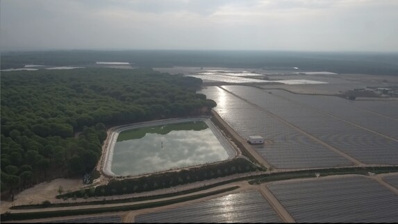 Imagen de dron de una inmensa balsa de riego construida en un pinar en el entorno de Doñana.