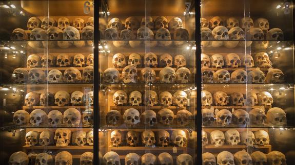 Colección de cráneos del Museo de Antropología Forense de Madrid.