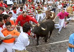 Falsa alarma. En la entrada al callejón uno de los toros hizo amago de embestir, pero su gesto no tuvo consecuencias graves. ::                             DANIEL FERNÁNDEZ/EFE