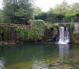 Usako es una alternativa para combatir el calor.