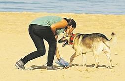 La solución está en la convivencia