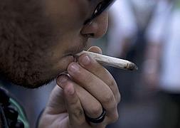 Donostia se convierte en la primera localidad en regular los clubes sociales de cannabis