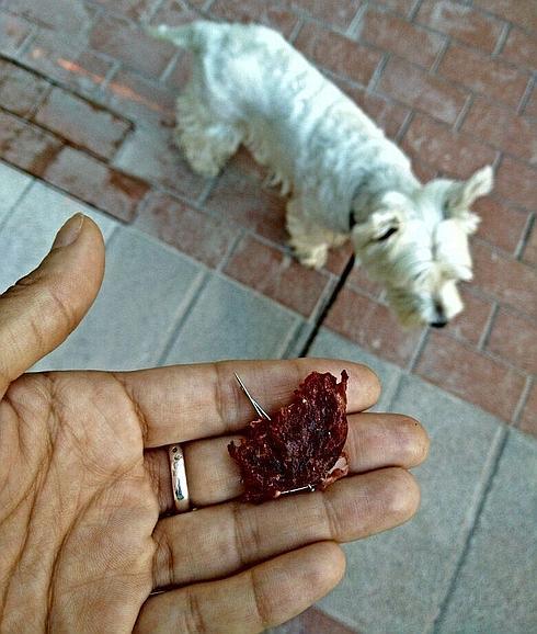 El trozo de comida con alfileres que encontró la dueña de Tyra, al fondo de la imagen