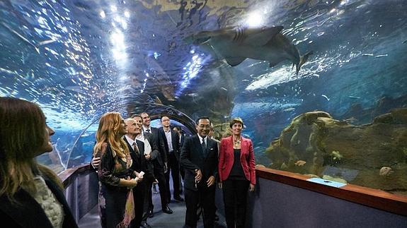 La delegación japonesa, en el Aquarium 