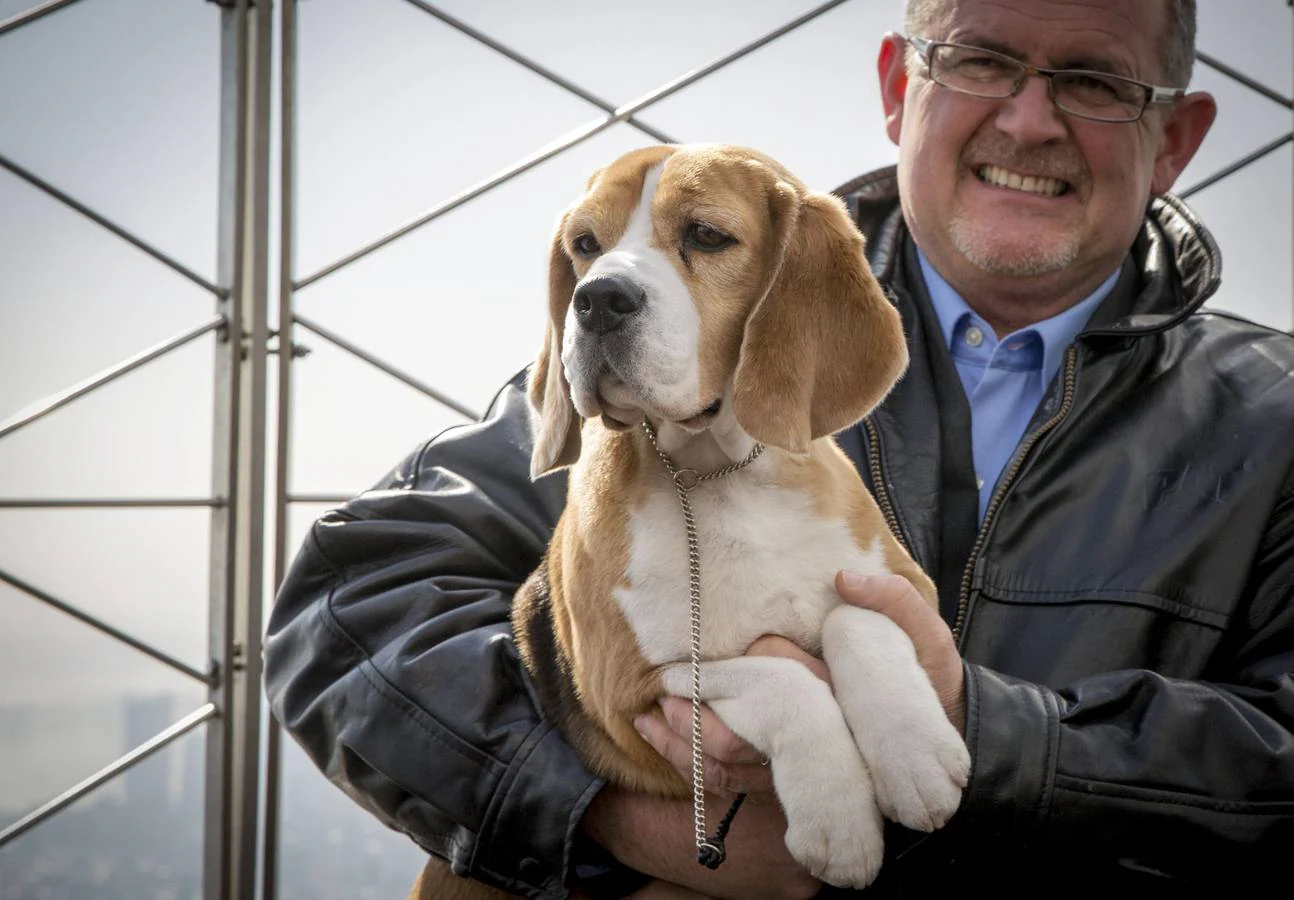 que perro ha ganado mas mejor en exposiciones