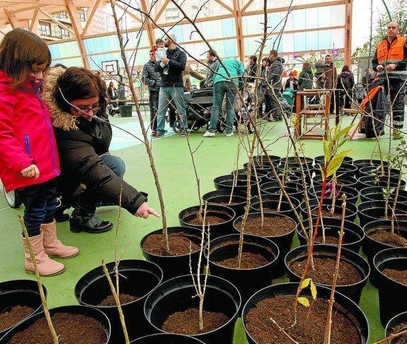 Padres y niños se reunieron en el patio del Koldo Mitxelena para la celebración del Día del Árbol. En esta edición, se plantaron 163 nuevos árboles. 