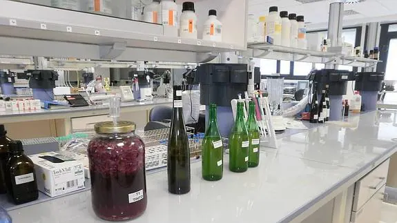 Laboratorio de Fraisoro.