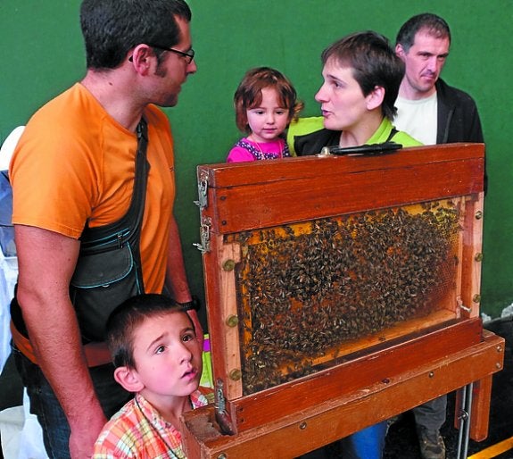 Interés. El panal didáctico, otra de las atracciones.