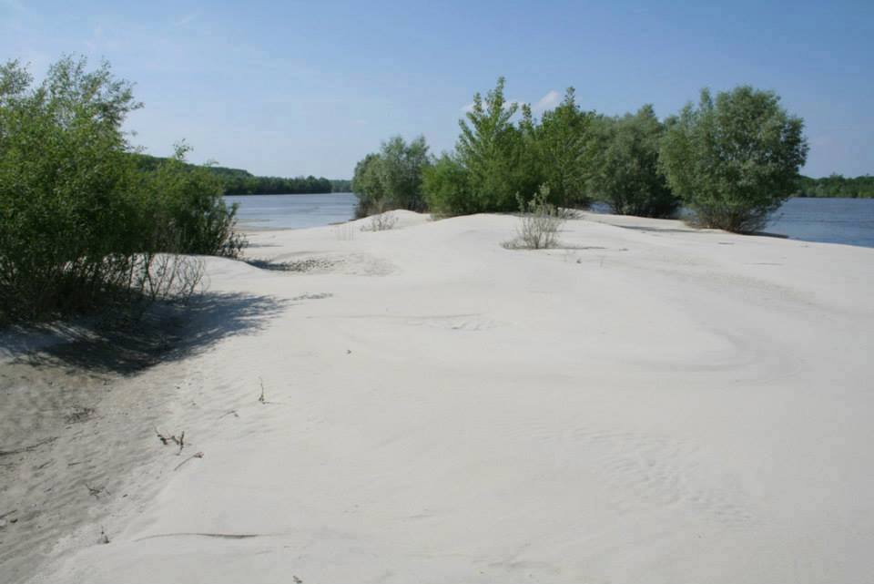Un rincón de Liberland que muestra la orilla del Danubio. 