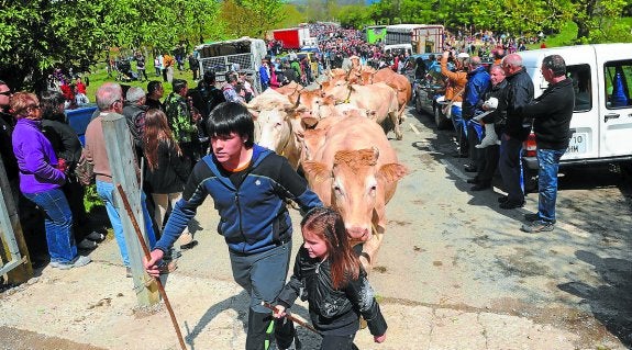 Las campas de Larraitz volverán a acoger la sencilla fiesta de arranque de una nueva campaña. 