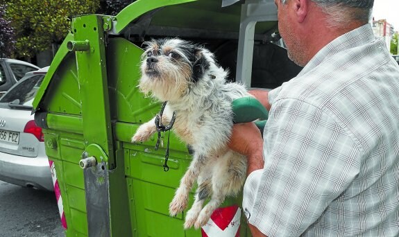 Juanma saca al perro del contenedor de la calle Isabel II donde fue localizado por una vecina.