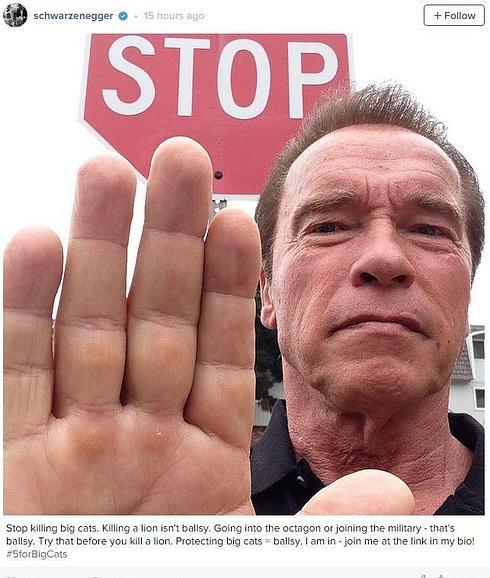 El mensaje de Arnold Schwarzenegger tras la muerte del león Cecil