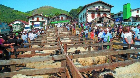 El sábado se volverá a celebrar en Amaiur el concurso de queso y el de perros pastor. 