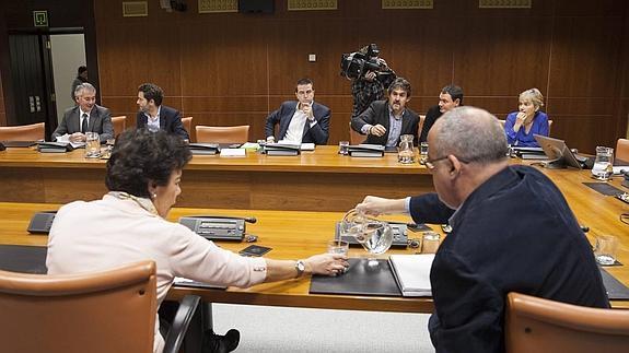 Los miembros de Ponencia de Autogobierno del Parlamento Vasco 