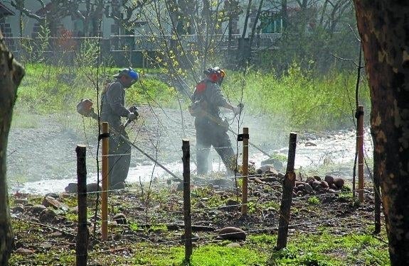 Trabajando con las desbrozadoras en Elizondo. 