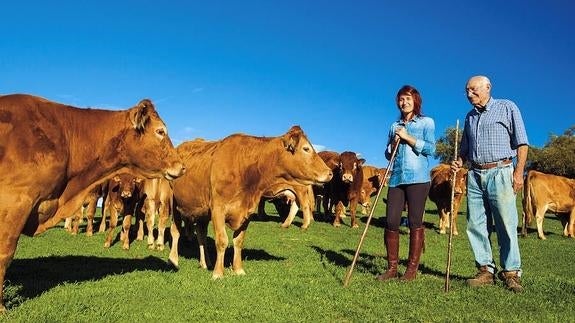 Behi abeltzain ugarik bildu dira oraingoan plataformara.