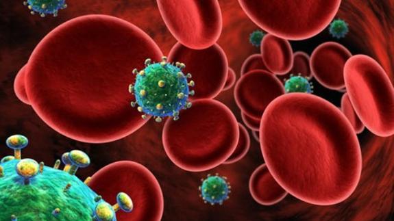 Hallan la manera de impedir que el virus del sida infecte las células