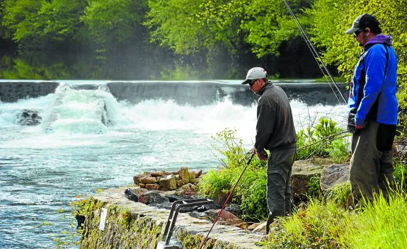 Pescadores en el punto popularmente conocido como 'Pozo de los 50', con la presa de Endarlatsa al fondo.