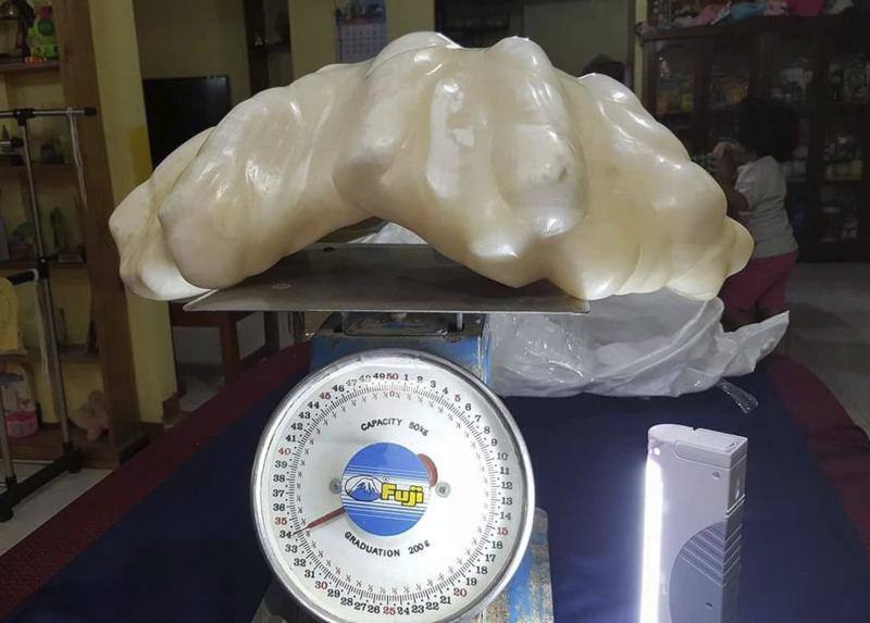 Localizan en Filipinas una perla de 34 kilos